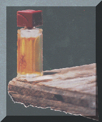 ad4.gif (36615 bytes)